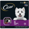 Cesar Wet Dog Food – Filet Mignon Flavor 24 x 100g Trays