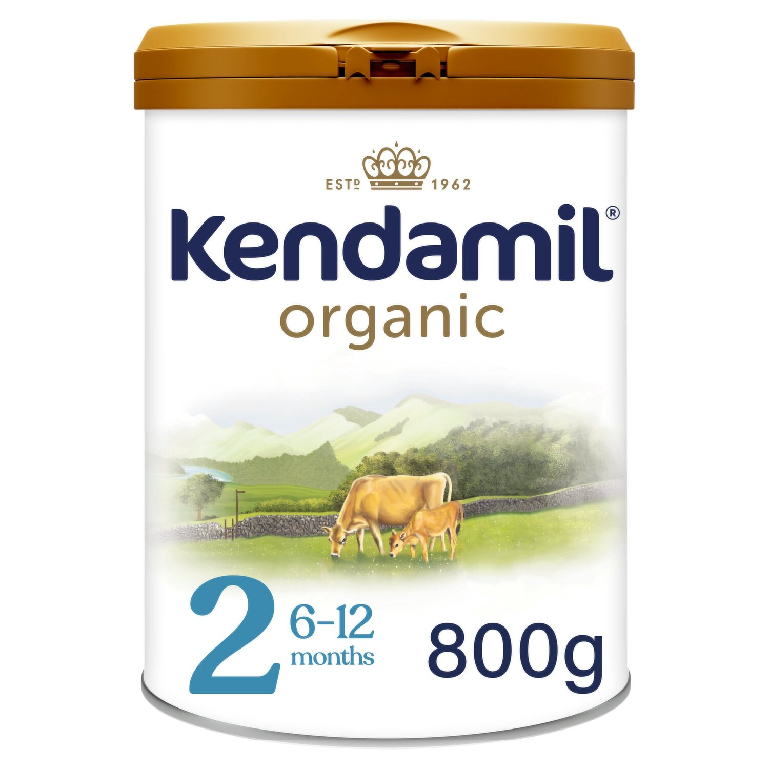 Cow & Gate Follow-On Milk – Stage 2 (6–12 Months, 800g)