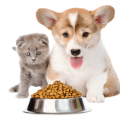 Dog-Food-Cute-Pet-Transparent-PNG